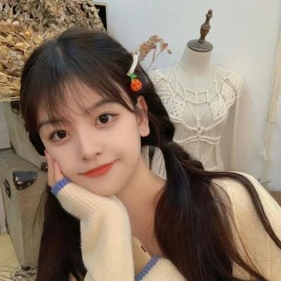 首席女部长